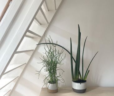 Houthaak 28 - Photo 3