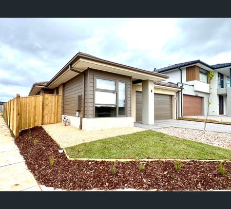47 Pennings Road, Wyndham Vale, Vic 3024 - Photo 3