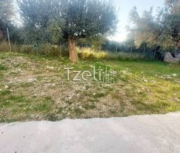 Διαμέρισμα για ενοικίαση - Ρίο, - Photo 6