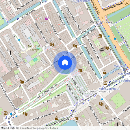 Lange Voorhout 52, Voorhout, 2514EG, Den Haag
