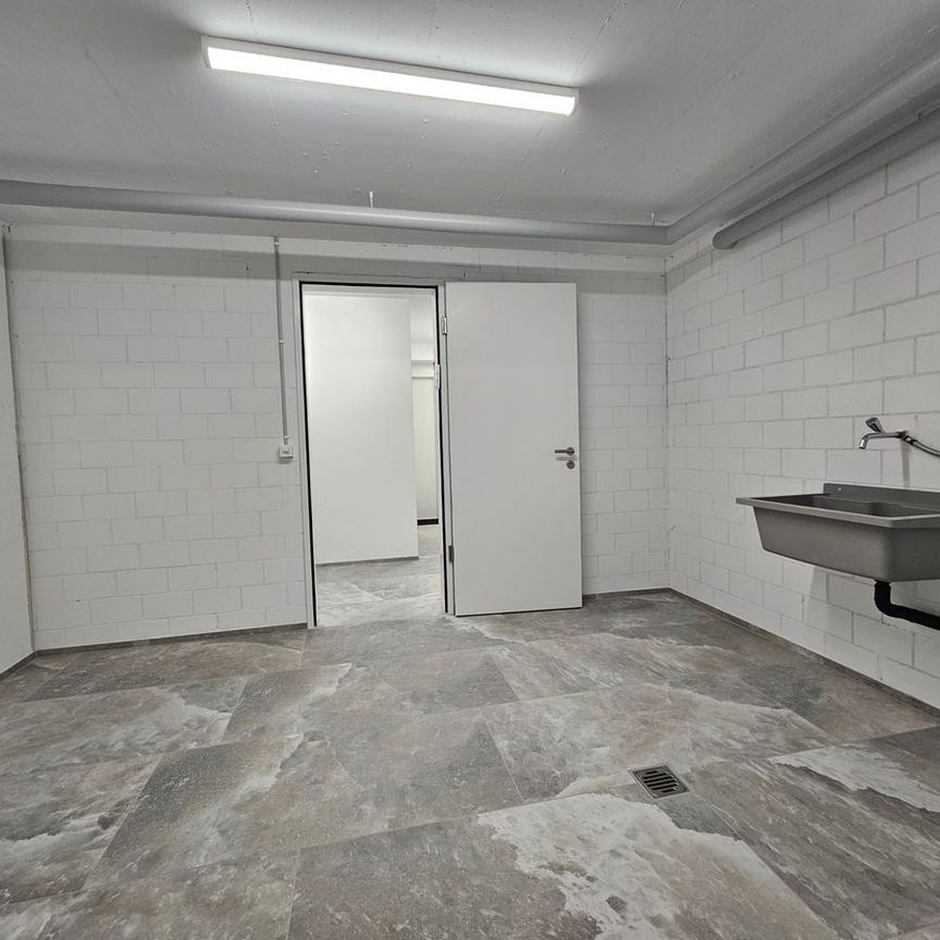 NEUBAU AN TOPLAGE MIT GROSSZÜGIGEM SITZPLATZ (88 M²) SOWIE EIGENER WASCHKÜCHE UND KELLER (23 M²) DIE WOHNUNG KANN AUF WUNSCH AUCH MÖBLIERT GEMIETET WERDEN. - Foto 1