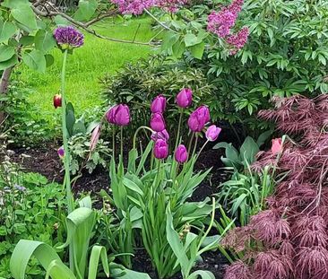 For Lease - 103 Glentworth Road, Toronto, Ontario - Photo 2