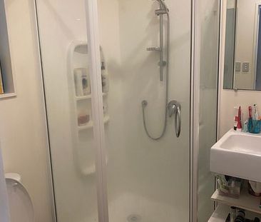 Stylish 4-Bedroom Home in the Heart of Aro Valley - Photo 4