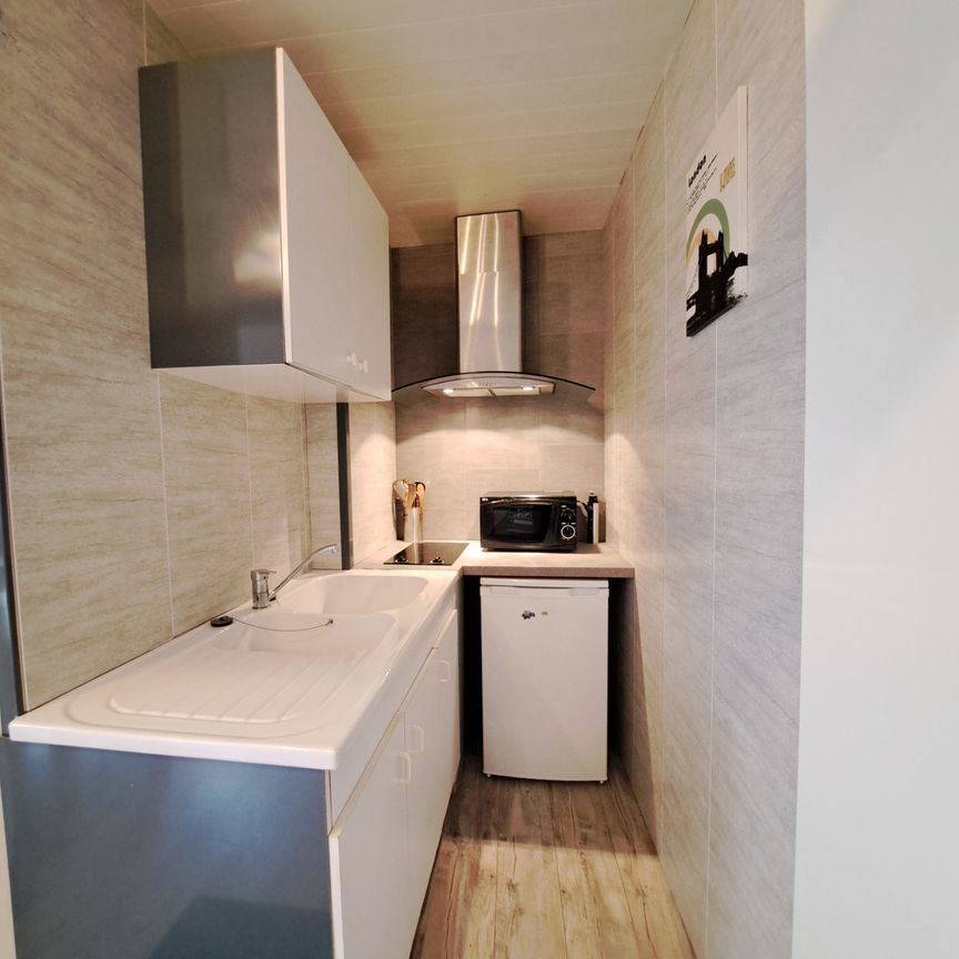 Location Appartement 1 pièce 13m² TROYES 10000 - Photo 1