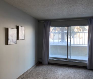 Palisades Manor - Photo 4