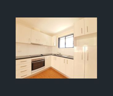 Great Size! - Photo 4