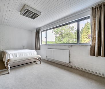 Thursley Road, Elstead, GU8 - Photo 6