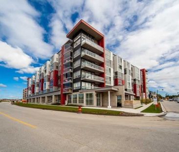 For Lease - 2 Adam Sellers Street Unit# 213, Markham, Ontario - Photo 6