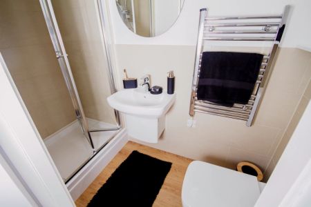 Penthouse Classic Studio with City View - Photo 5