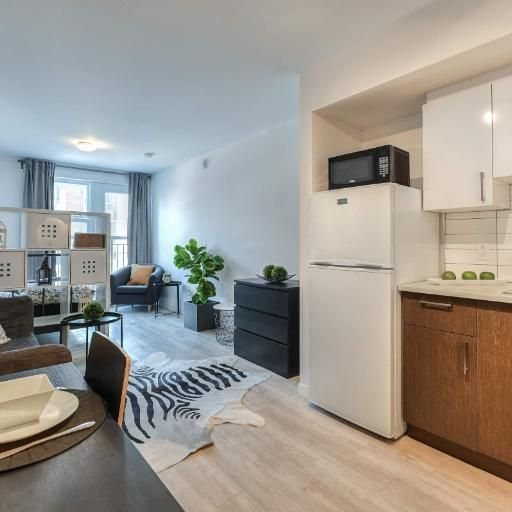 Studio - Montréal - $1,095 /mo - Photo 1