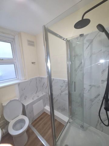 Studio Flat, Green Lanes, N8 - Photo 4