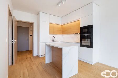 Pronájem bytu 2+kk - Dřevčická, Brandýs nad Labem - Photo 4