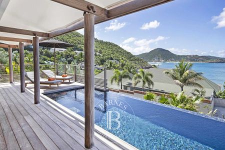 Belle villa 4 chambres vue ocean nichée dans un écrin de verdure - Photo 3