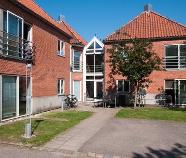 Persillegade, 6200, Aabenraa - Photo 6