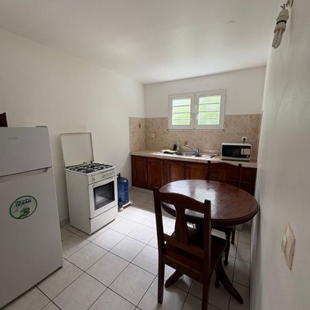 Schoelcher - Appartement - Studio - Photo 3