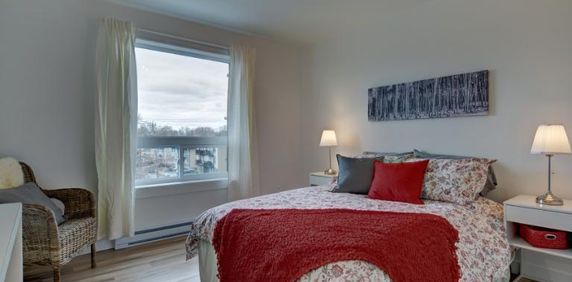 Appartement 3 ½ à louer Limoilou mars 2026 - Photo 2