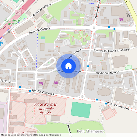 1950, Sitten, Rue De La Pelouse, 4