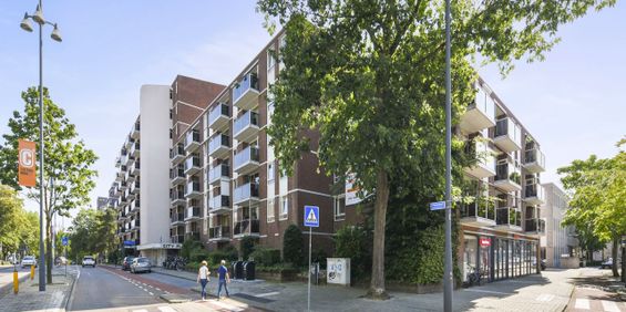 Mariabad 135 - Foto 3