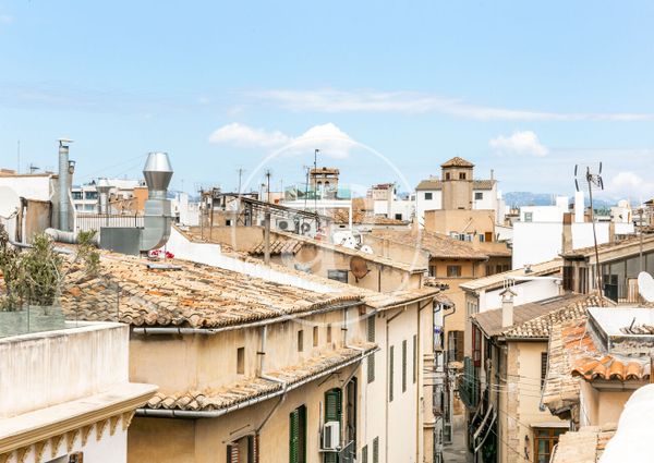 Apartment for rent in Sa Lontja