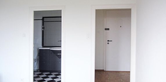 Duplex au cœur des Eaux-Vives - Foto 2