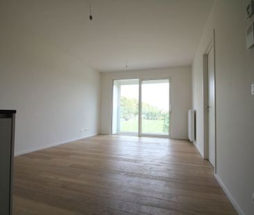Apartments To Let 1 bedroom directly with the owner - Photo 1