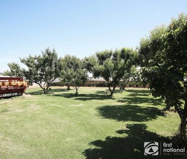 Sitting Amongst the Flowers - Photo 6