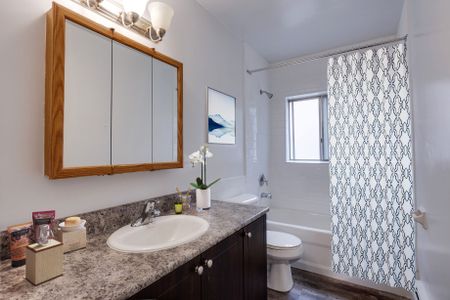 One Bedroom Apartment - Photo 3