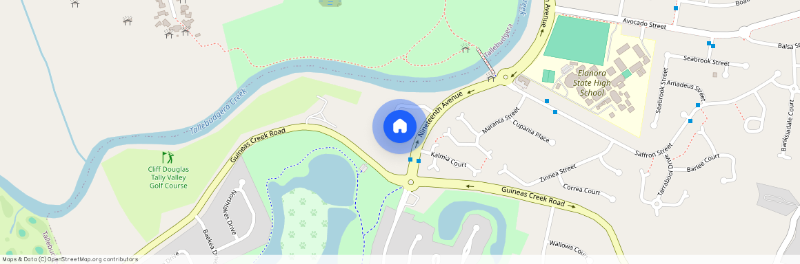 33 Cosmos Court, Qld 4221, Elanora