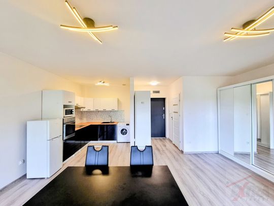 Kawalerka na wynajem (434736) - Zdjęcie 1