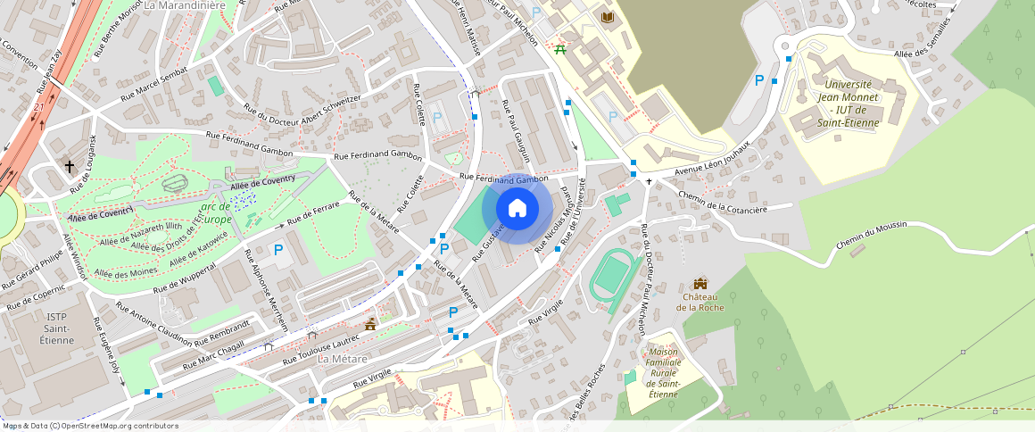 ** RUE GUSTAVE COURBET, 42100, St Etienne