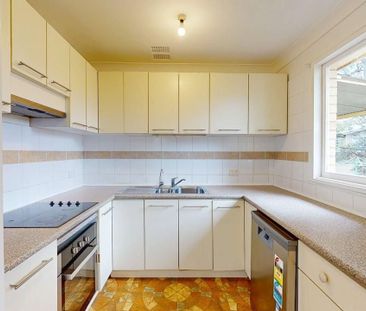 15 Finney Close, Rutherford NSW 2320 - Photo 5