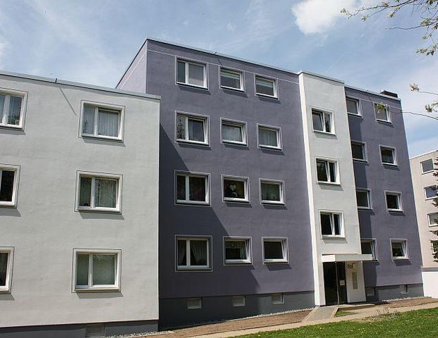 + 2 Zimmer mit modernem Badezimmer + - Foto 1