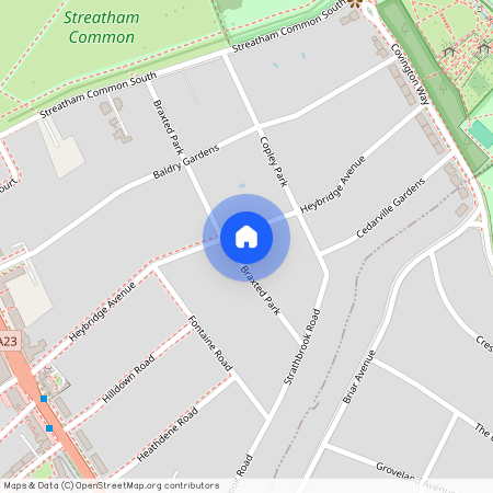 Braxted Park, London SW16