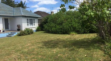 Walk to Town! - Photo 3