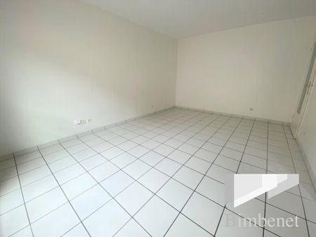 Appartement à louer, 1 pièce - Orléans 45000 - Photo 5