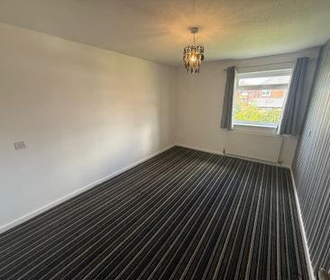 Trencherbone - Photo 4