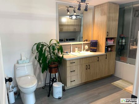 214-555, rue des écoles, Drummondville (Drummondville) à louer - Photo 4