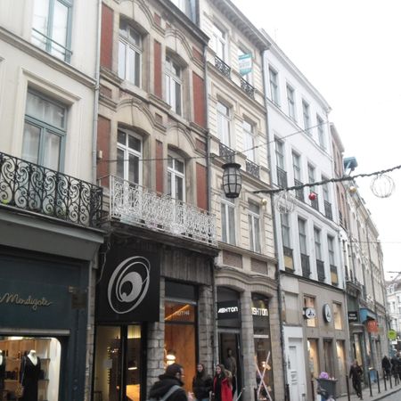Location Appartement 2 pièces 30m² LILLE 59800 - Photo 3