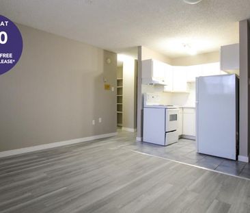 Kerpel Apartments | 131 Avenue P South, Saskatoon - Photo 1