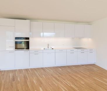 In the natural five-pointed star - Foto 3