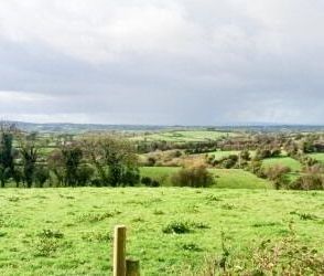 281 Newtownhamilton Road, Armagh, BT60 2RE - Photo 6