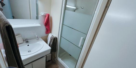 Location Appartement 1 pièce 20m² TOURS 37000 - Photo 3