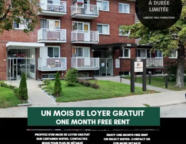 Mistral Immobilier — 1 Bedroom - Renovated - Photo 1
