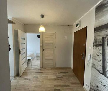 Widok Na Morze Winda Długi Termin Zwierzęta Sopot - Photo 4