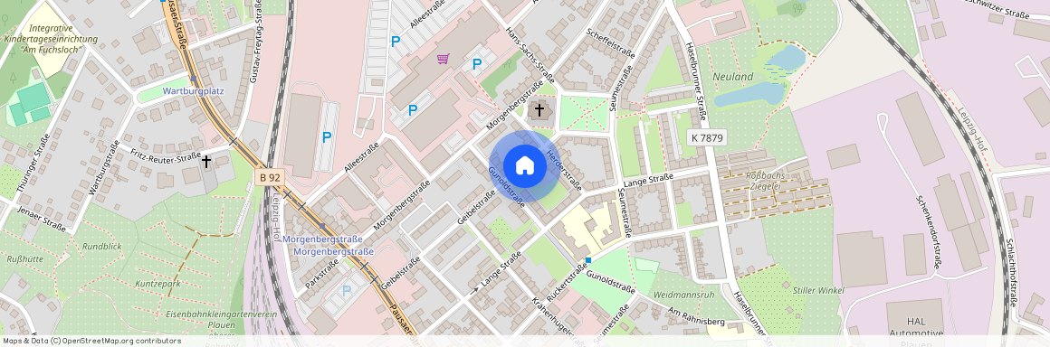 Geibelstraße 42, 08525 Sachsen - Plauen