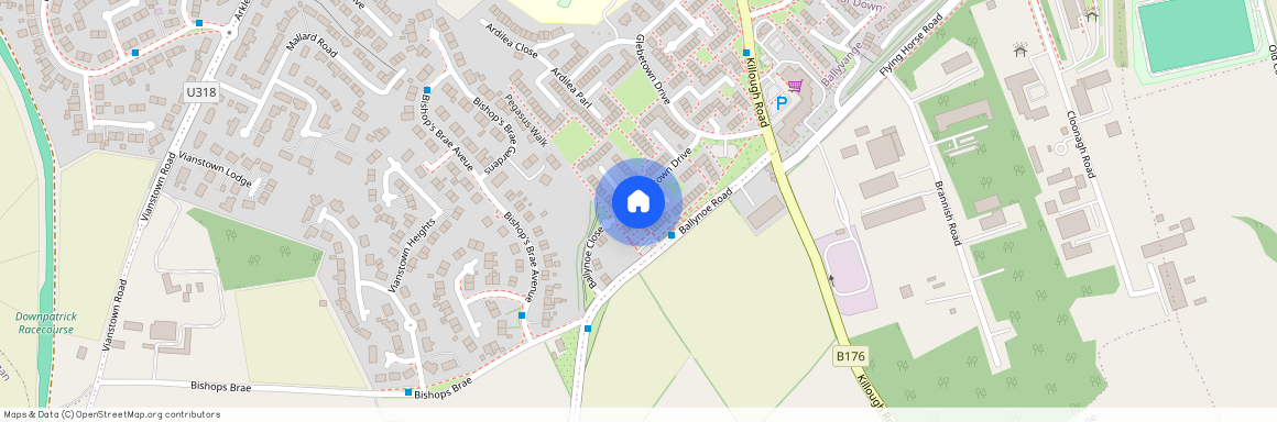 35 Pegasus Walk, Downpatrick, BT30 6QJ