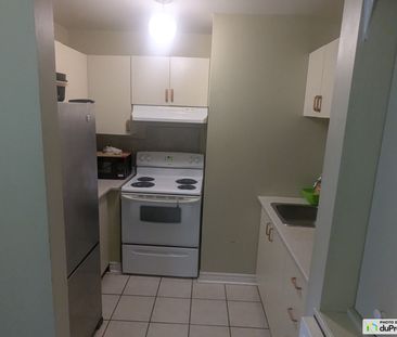 205-462, Alexandre-taché, Gatineau (Hull) à louer - Photo 4