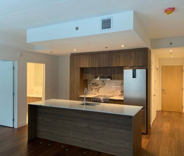 385 Rue St Martin Montréal (Le Sud-Ouest), QC H3J - Photo 2