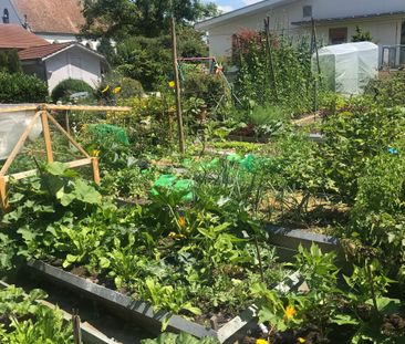 Charismatic 3-room apartment with idyllic garden and natural idyll ... - Photo 3