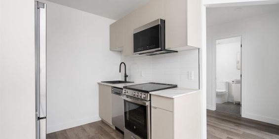 1 CH - 1 SDB - Montréal - $1,445 /mo - Photo 3